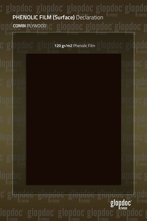 KAYIN KOMBİ Filmli Plywood