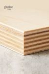 BIRCH Plywood