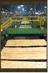 PINE Plywood