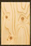 PINE Plywood