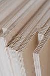 BIRCH Plywood